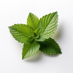 Perfect food images for supermarket catalogs promotional brochures or price tags