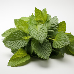 Perfect food images for supermarket catalogs promotional brochures or price tags