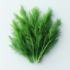 Perfect food images for supermarket catalogs promotional brochures or price tags