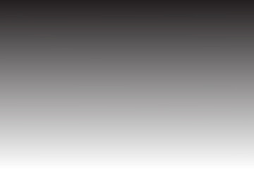 Vertical gradient backdrop. Smooth gray blend. Soft tonal shift. Vector background. © Полякевич Олена