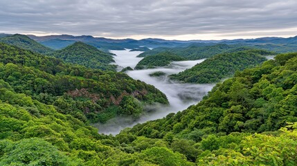 Misty Mountain Valley Landscape Serene Nature Scene Lush Green Environment Scenic Viewpoint Tranquil Concept