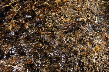 キラキラと光る水面の風景