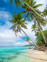 Tropical beach in French Polynesia