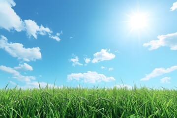Obraz premium Sunshine Over Green Meadow: A breathtaking vista of a vibrant green meadow stretching towards a dazzling blue sky, where fluffy clouds drift across the azure expanse.