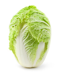 Fototapeta premium Chinese Cabbage isolate on white background.