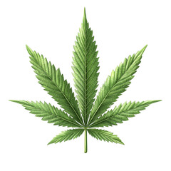Marijuana Leaf for Botanical and Medical Cannabis Illustrations, isolated on transparent background png 