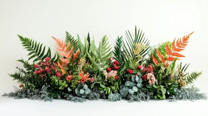 A large arrangement of tropical plants. Beautiful composition of ferns in the tropical rainforest. Banner with white background and leaves. A vast collection of tropical vegetation lifestyle.