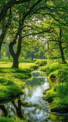 Serene Landscape with Flowing Stream Surrounded by Lush Green Trees in Bright Daylight