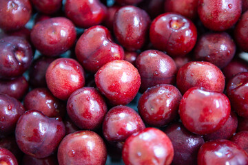 Cherry, 체리