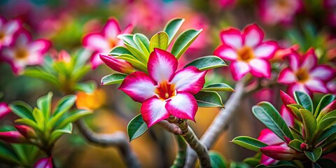 Impala Lily Tilt-Shift Photography: Miniature Garden, Blooming Impala Lily, Close-up Macro, Shallow Depth of Field, Soft Focus, Vibrant Colors, Exotic Flower