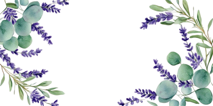 Watercolor illustration of flower on a transparent background 