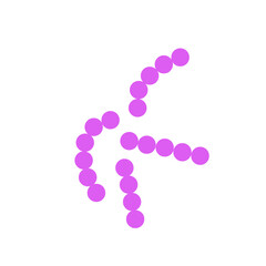 streptococcus pneumoniae bacteria flat style