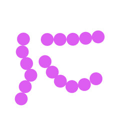 streptococcus pneumoniae bacteria flat style