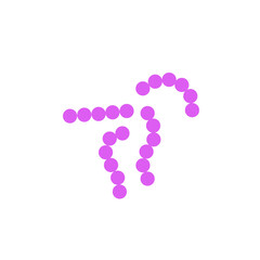 streptococcus pneumoniae bacteria flat style