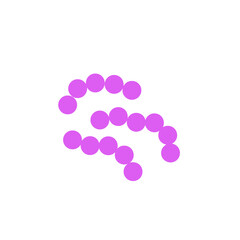 streptococcus pneumoniae bacteria flat style