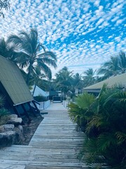 tropical resort in summer time