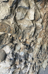 Rock wall surface