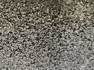 Cement walls were cracked and covered with black moss