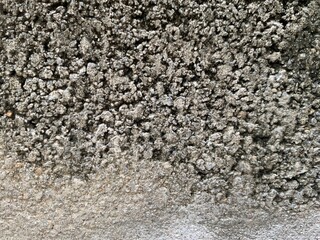 Cement walls were cracked and covered with black moss