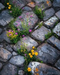 Wildflowers growing between the cracks of an old cobblestone path