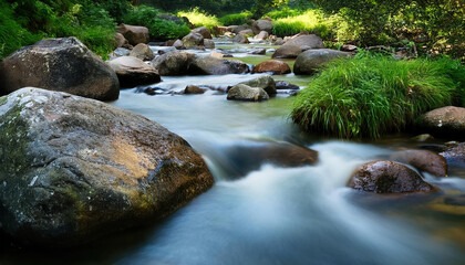 gently flowing stream surrounded by smooth stones and greenery evokes calm and recovery