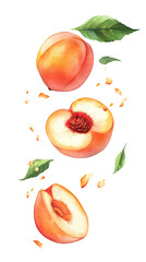 Naklejka premium flying Sliced Ripe peaches with leaf isolated on transparent white background, clipping path
