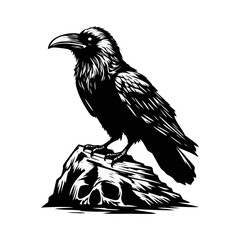 Obraz premium Raven skull silhouette black icon on white background