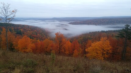 Autumn valley fog scenic overlook landscape postcard