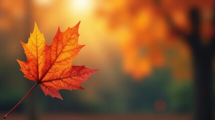 A single autumn leaf, vibrant orange and red, gently descends against a softly blurred backdrop of fall foliage, evoking a sense of tranquility and seasonal change.
