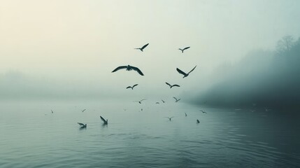 Misty lake birds flocking dawn serene nature scene
