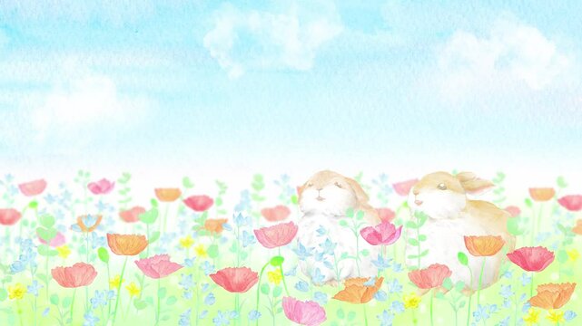 春の花畑で空を見上げる二匹の子うさぎのループアニメーション。水彩画を使用したカラフルで可愛い映像。