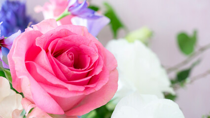 鮮やかに咲き誇るピンクのバラ