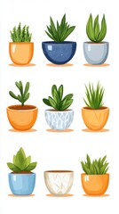 A collection of various potted plants in colorful pots, showcasing indoor greenery.