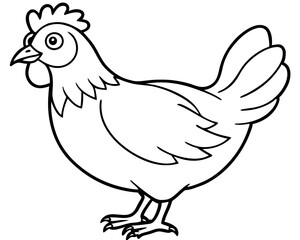 vector illustration of chicken