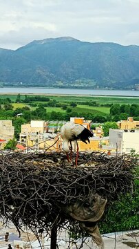 Stork City, where storks nest peacefully among homes, coexisting with locals.
📍Dareh Tefe, Marivan - Kurdistan  