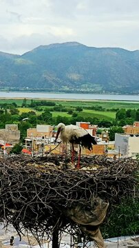Stork City, where storks nest peacefully among homes, coexisting with locals.
📍Dareh Tefe, Marivan - Kurdistan  