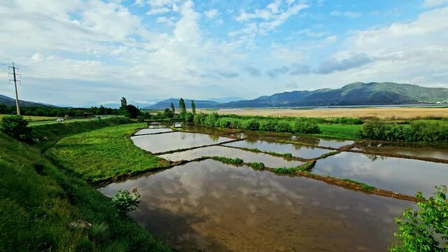 Lush fields with reflective water under a partly cloudy sky.
📍Marivan, Kurdistan 