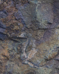 Rock Close To Shoreline