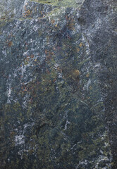 Rock Close To Shoreline