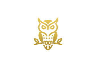 A gradient owl logo, blending mystical colors for a sleek, wise, and mysterious design.