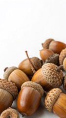 Fresh Acorns on White Background with Copy Space