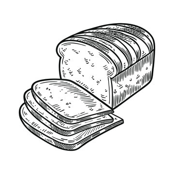 vector illustration of a sandwich Brade silhouette design