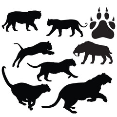 Tiger silhouette illustration Design Tiger silhouette icon