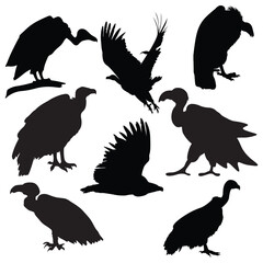 Vulture silhouette illustration Design Vulture silhouette icon