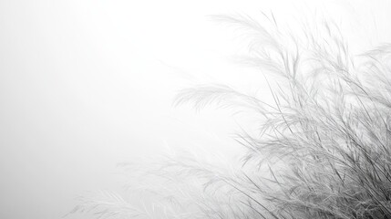 Obraz premium Monochrome photo of tall grass in fog. Ideal for minimalist designs, nature themes, or serene mood boards.