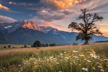 Fototapeta premium Panoramic Sunset: Nitrazepam's Golden Hour Embrace - Nature's Tranquil Slumber