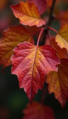 Fototapeta premium Close-up view of decaying autumn leaves, intricate details, backdrop, still life