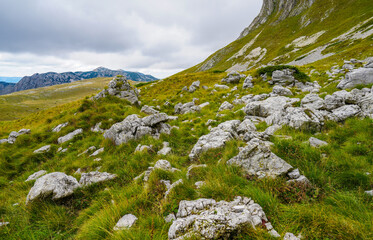 Rocks among the green grass of Prutas Peak