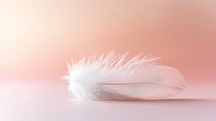 Obraz premium Soft white feather resting gently against a peach-toned backdrop, creating a serene and delicate composition -ai