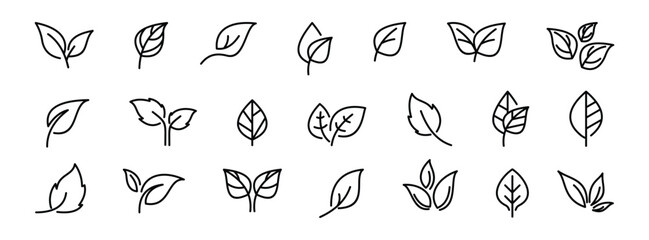 leaf  icon set, Luxury nature leaves design, Green leaf line arts, Hand drawn outline design for Vector illustration.